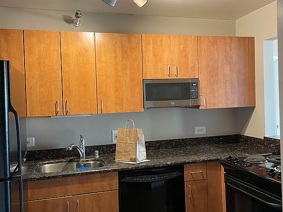 3rd image of 474 N Lakeshore Dr Unit 5409