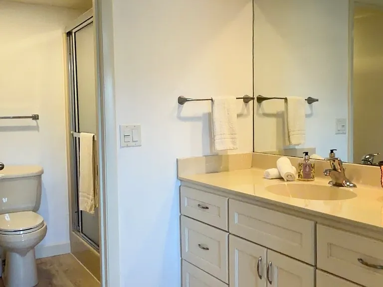 Primary Bathroom w/ walk-in shower