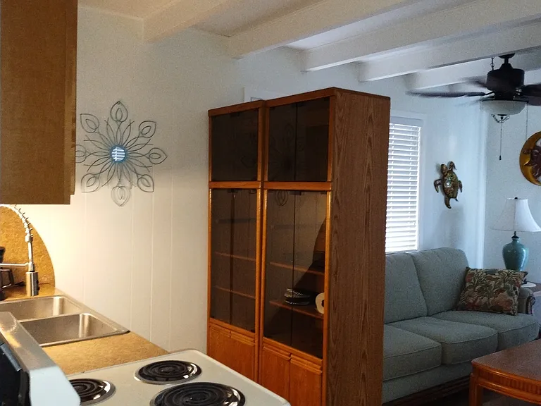 Palmetto Dr NE — Photo 21