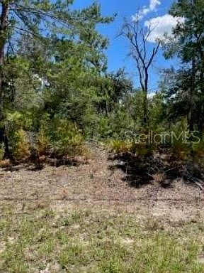 2nd image of 2724 W Paragon Ln