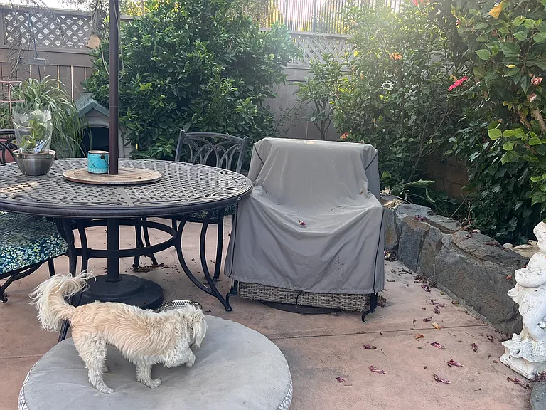 Galano Dr — Photo 11
