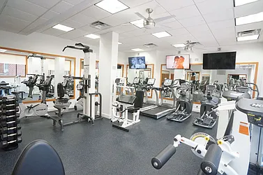 Rented by Bold New York