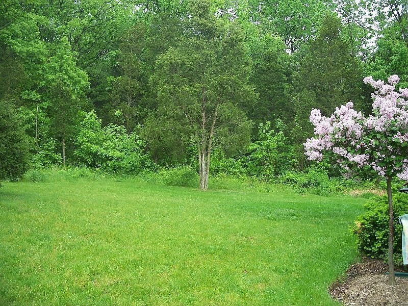 Large side yard