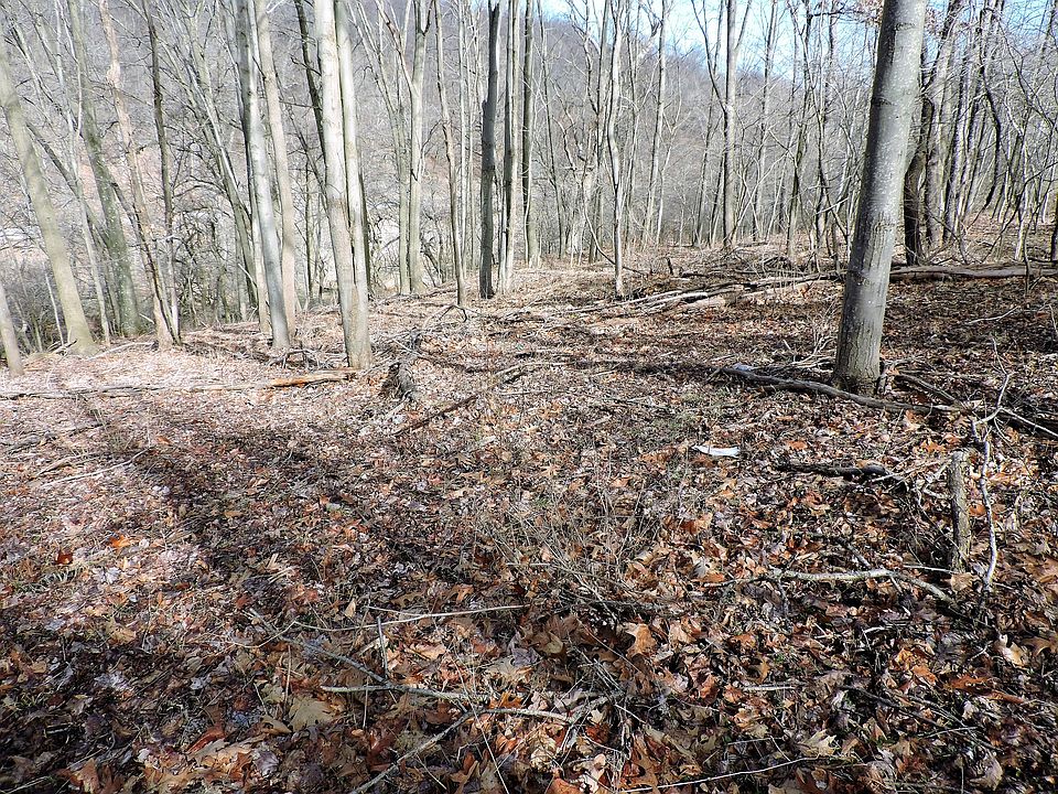 1st image of 0 Montour Road