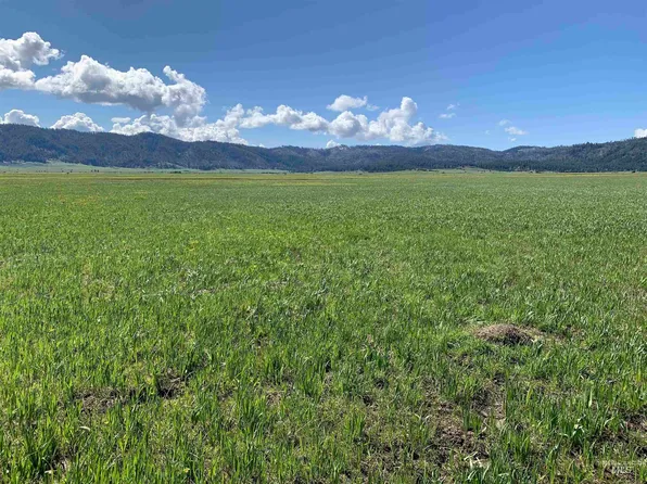 14 Gray Ln, Cascade, ID 83611