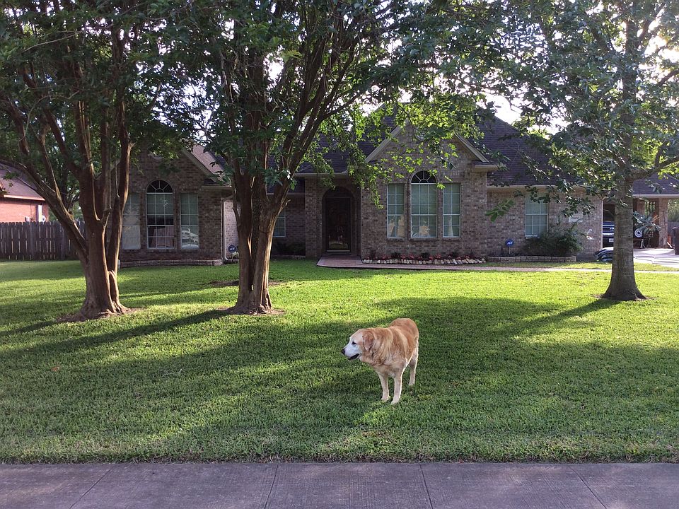 Webster home for sale!