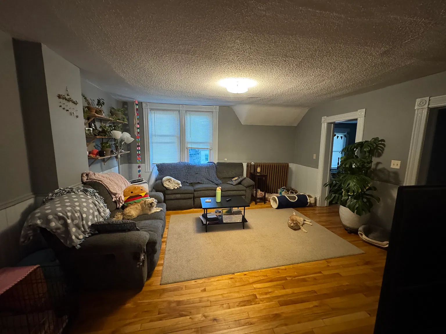 3 bed, 1200 sqft, $1,335 — Photo 2