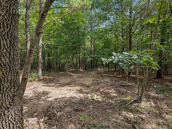 2nd image of 0 Falls Branch Rd Lot 3A
