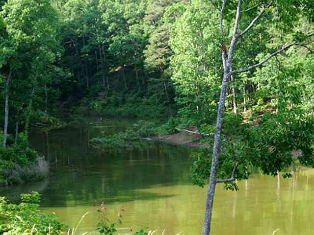1st image of LOT 29 Riverview Dr