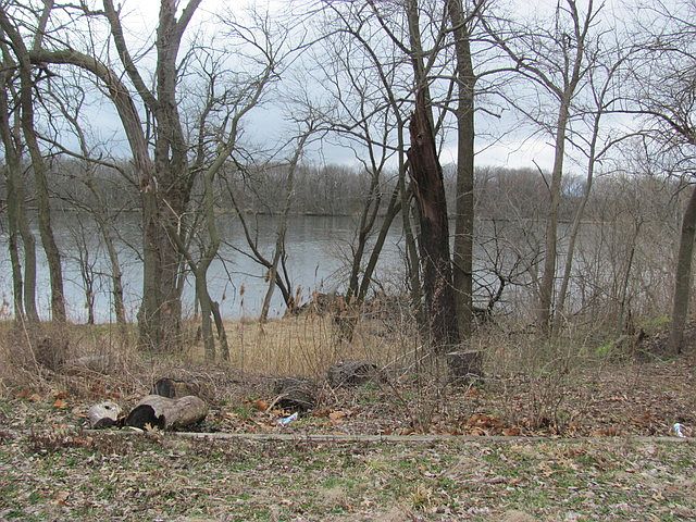 2nd image of 1917 Lakewood Dr