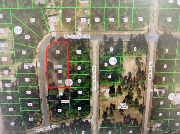 1930 W Oliver Dr, Citrus Springs, FL 34434