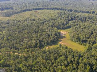 TRACT 1 State Highway 36, Waverly Hall, GA 31831