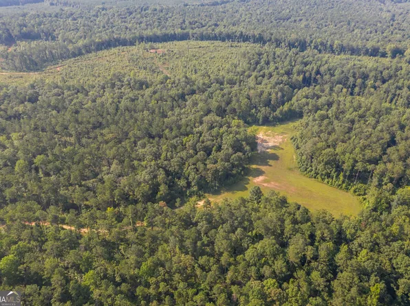 TRACT 1 State Highway 36, Waverly Hall, GA 31831