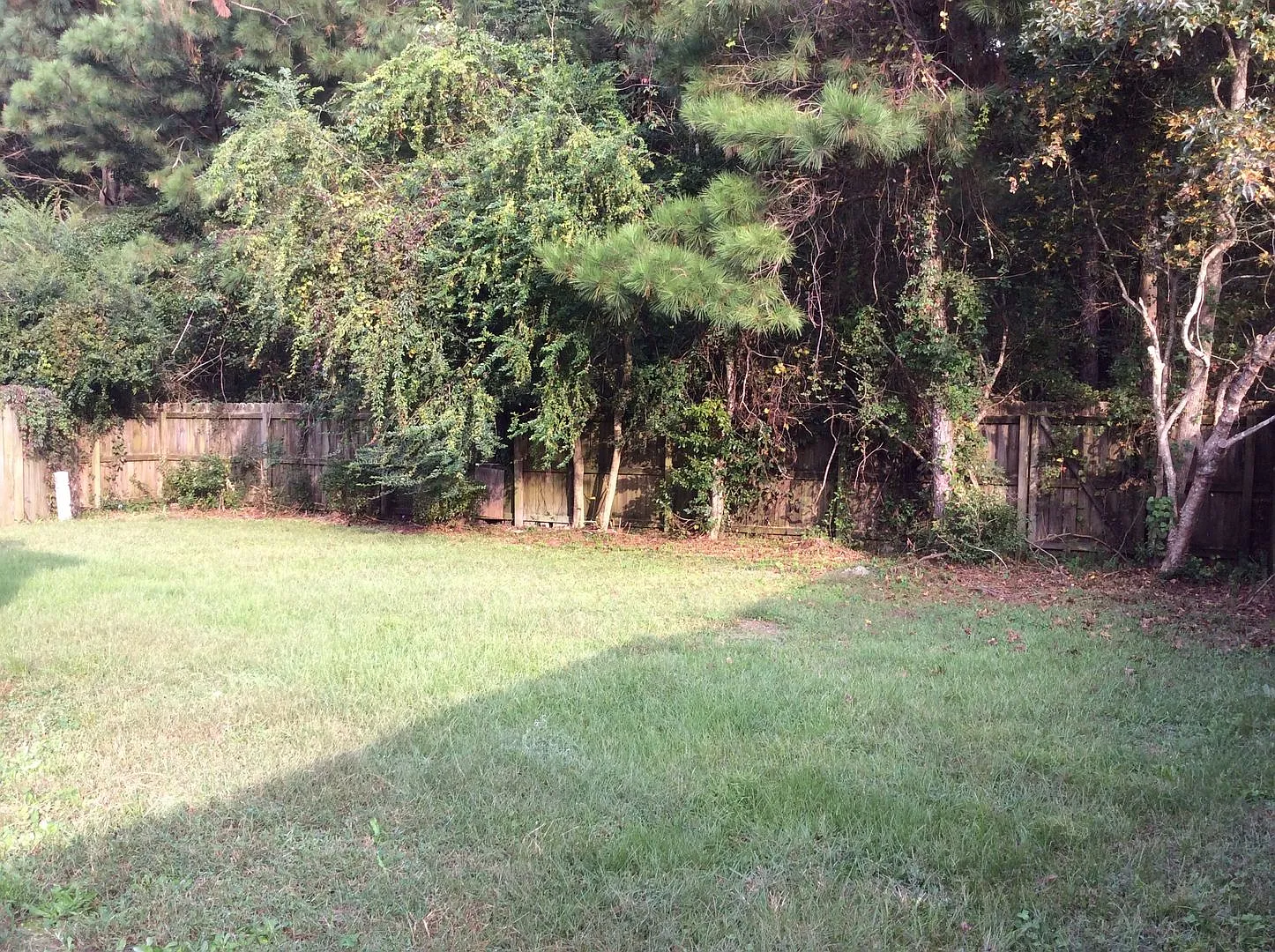 Short Term Rental — Photo 4