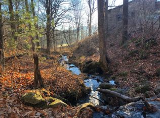 55555 Lickskillet Rd, Burnsville, NC 28714