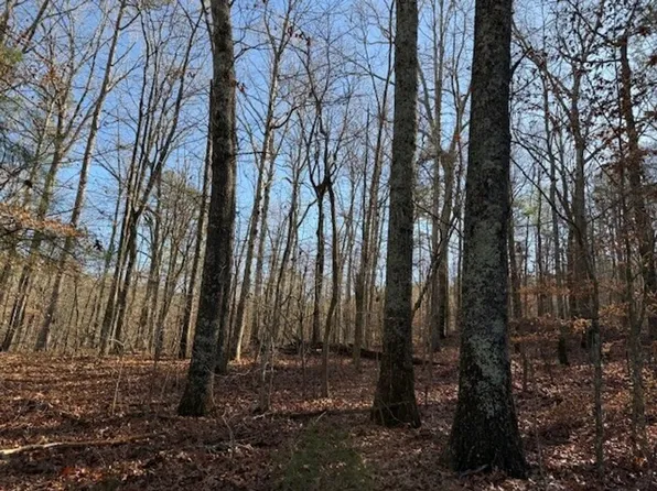 7 County Road 751, Valley Head, AL 35989