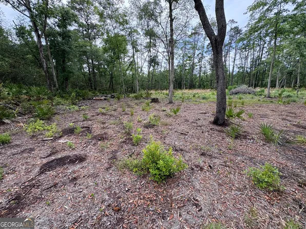 0 Piney Bluff Rd Lot 5, Waverly, GA 31565