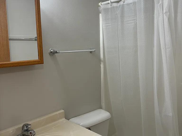 Guest bathroom