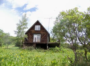 67552 Black Bear Dr, Collbran, CO 81624