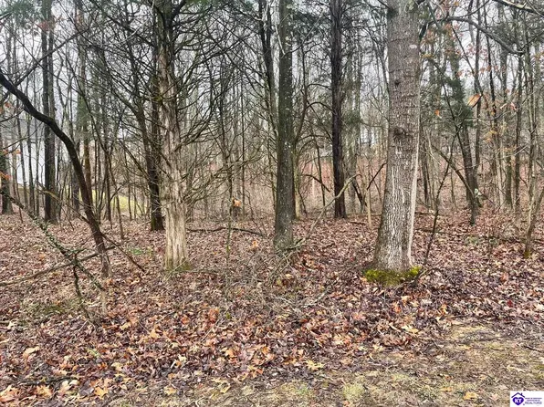 217 Catbird Rd Lot 217, Brandenburg, KY 40108