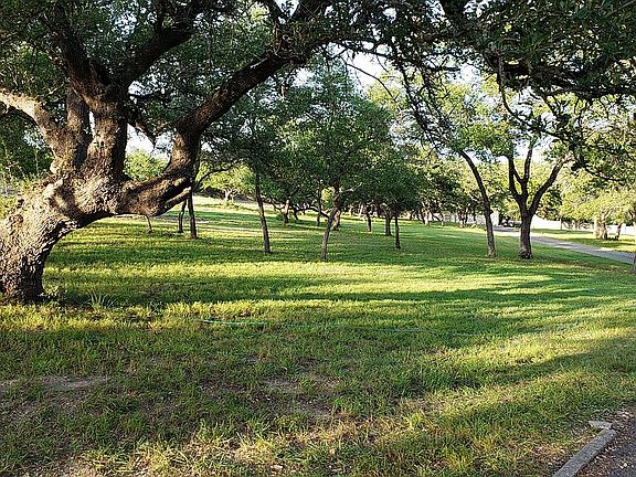 Meadow by driveway