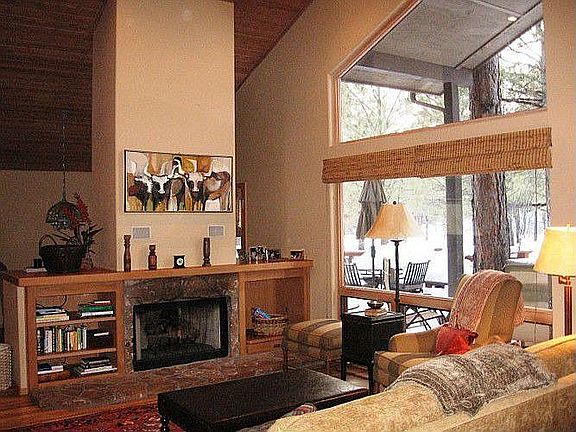 Cozy Fireplace with a view to the trees.