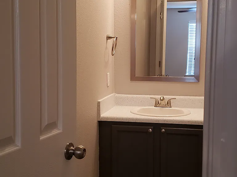 Master Bathroom Vanity