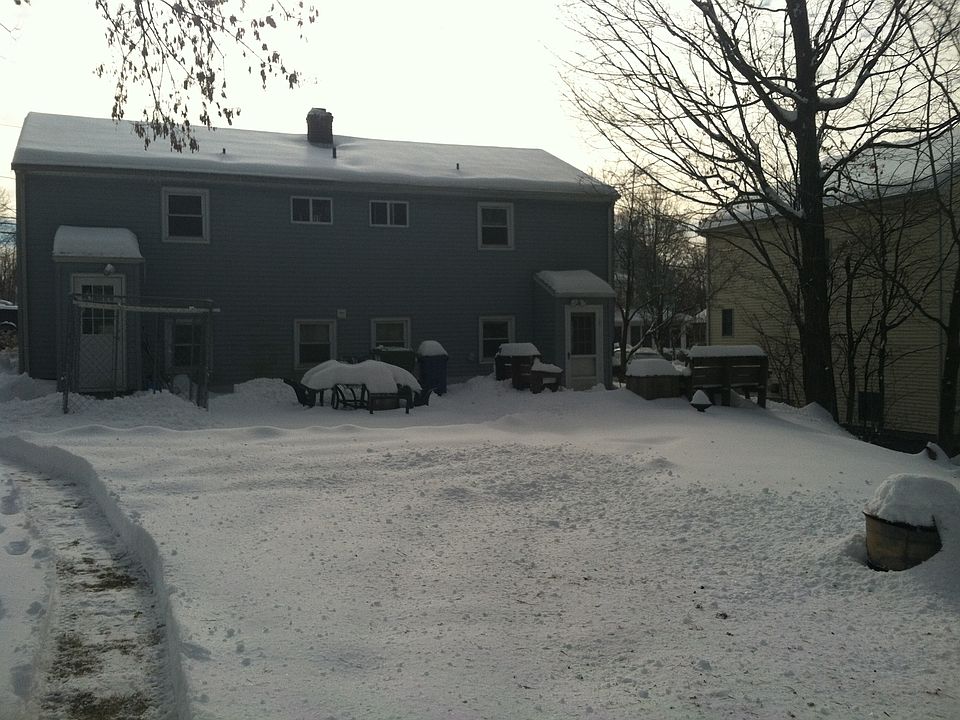 From the back yard.