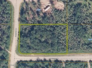 L5 E Kestrel Ct, Willow, AK 99688