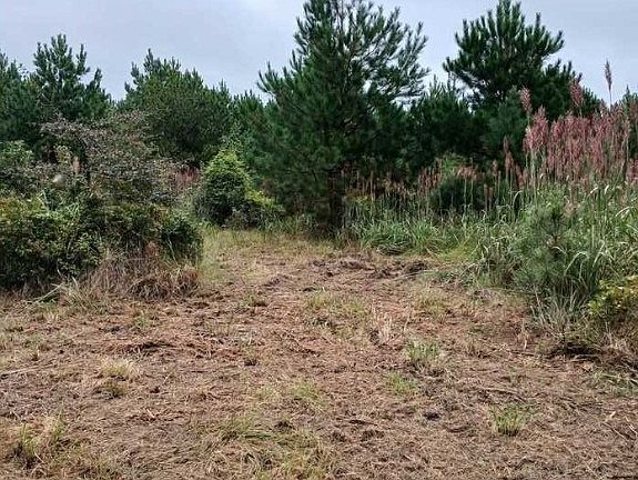 2nd image of 6-72A Ridge Rd