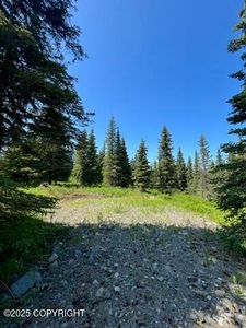 34718 N Fork Rd, Anchor Point, AK, 99556