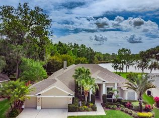 2836 Mossy Timber Trl, Valrico, FL 33596