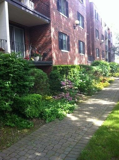 1st image of 230 Essex St APT 31