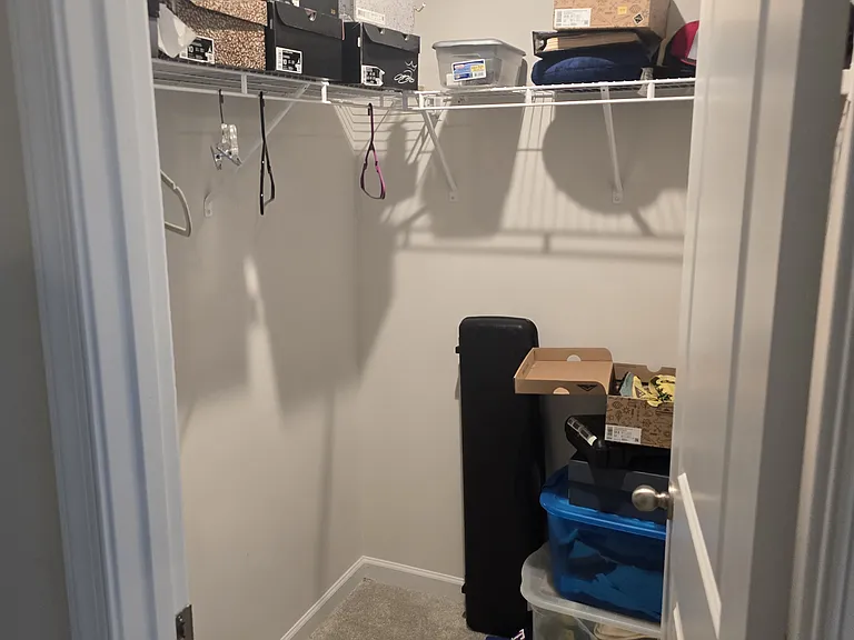444 Lavatera Dr — Photo 18