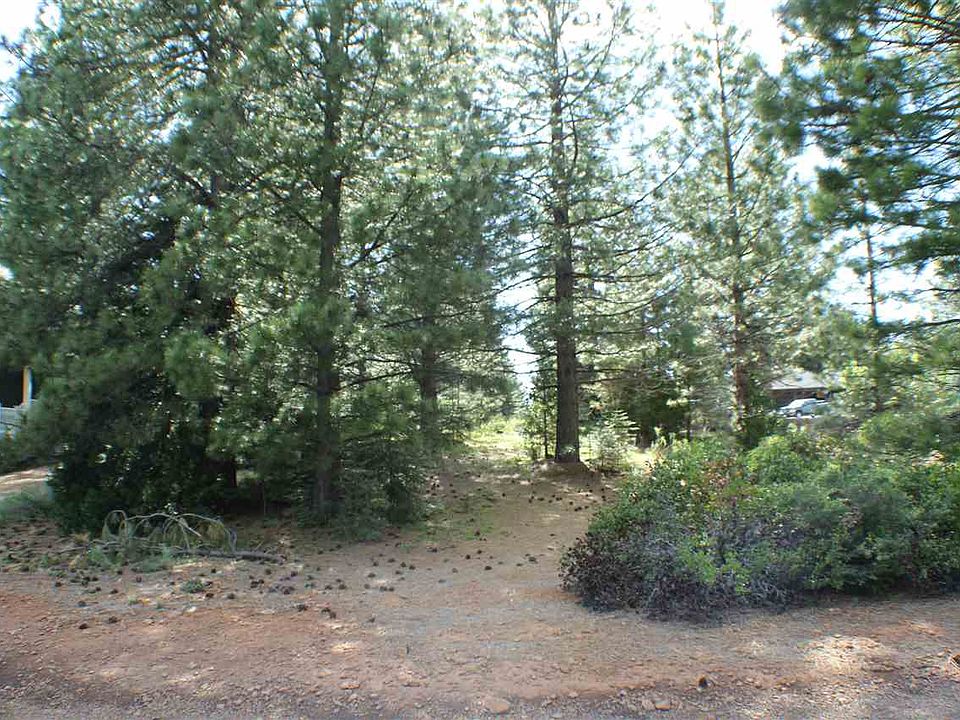 2nd image of 303 Durkin Dr