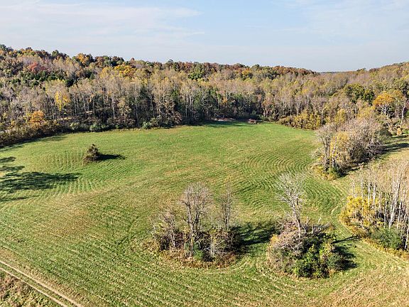 4th image of 1652 Plum Creek Rd