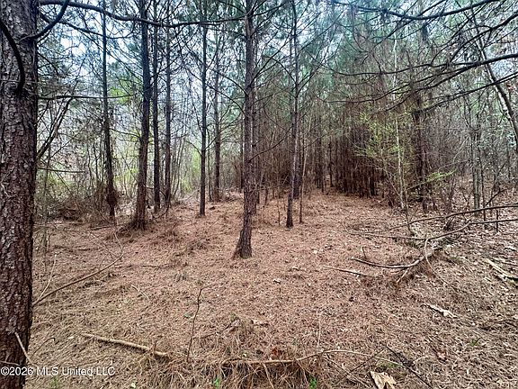 5th image of Bouie Mill Rd NW