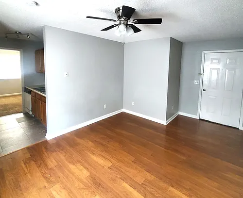 Cozy 1 bedroom Photo 1