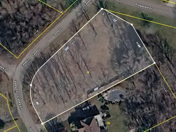 438 Casey Ln, Strawberry Plains, TN 37871
