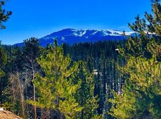216 Ridge Rd, Divide, CO 80814