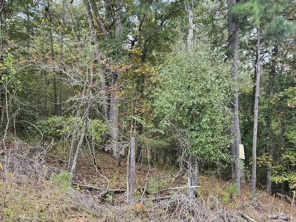 110 Silver Lake Ct, Macon, GA 31211