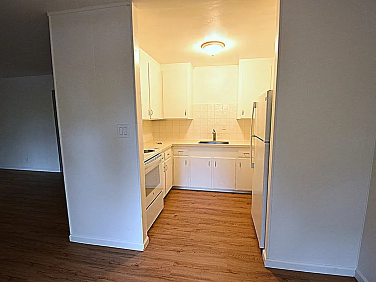 170 Miller Ave #7 — Photo 10