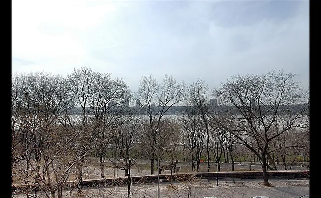 Sold by Douglas Elliman | media 4