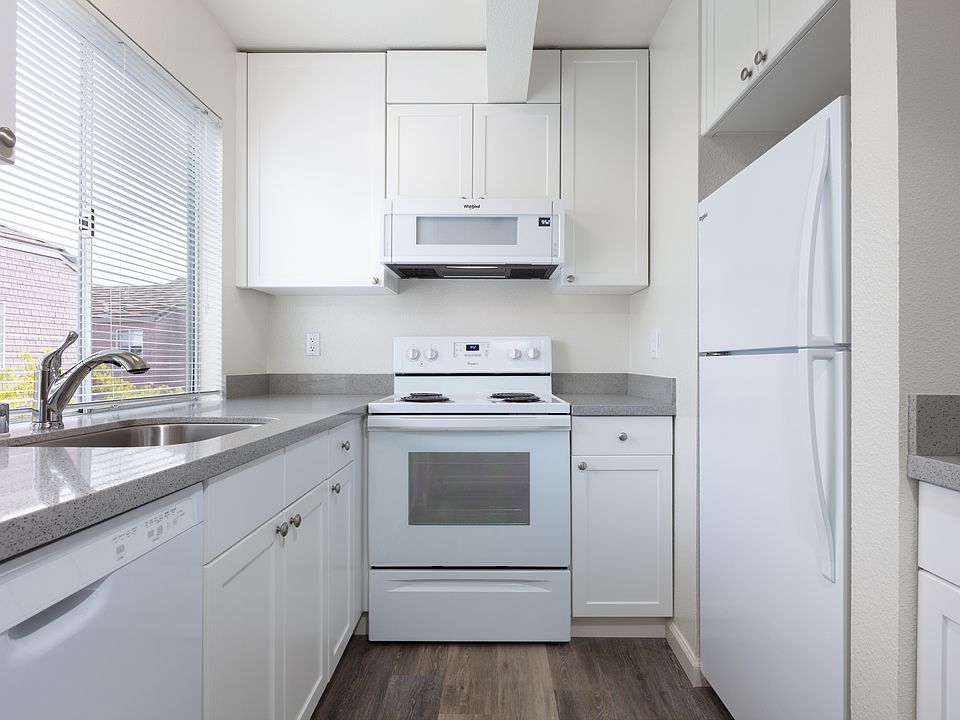 kitchen has all appliances and large window