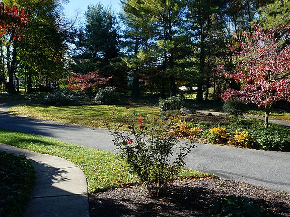 Circular Drive