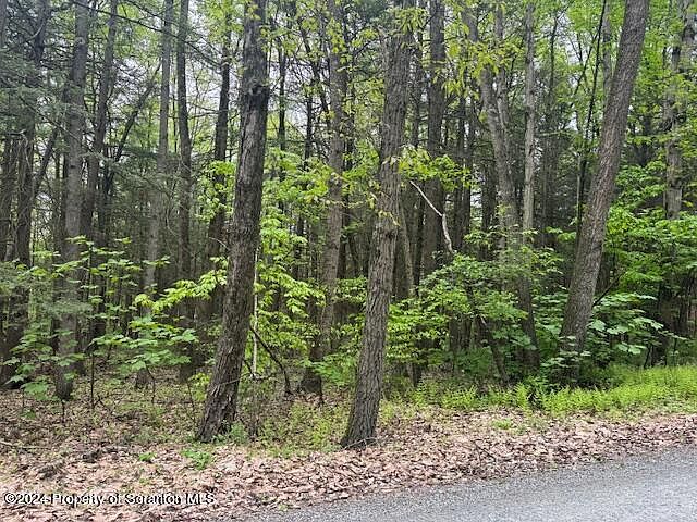 2nd image of 301 Whipporwill Hollow Rd