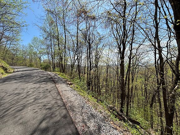4th image of LOT 4 Outlook Rd