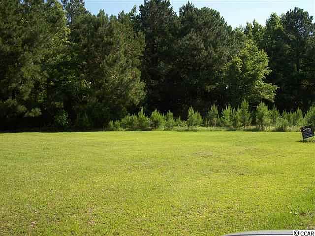 2nd image of 119 Anna Rudiger Ln