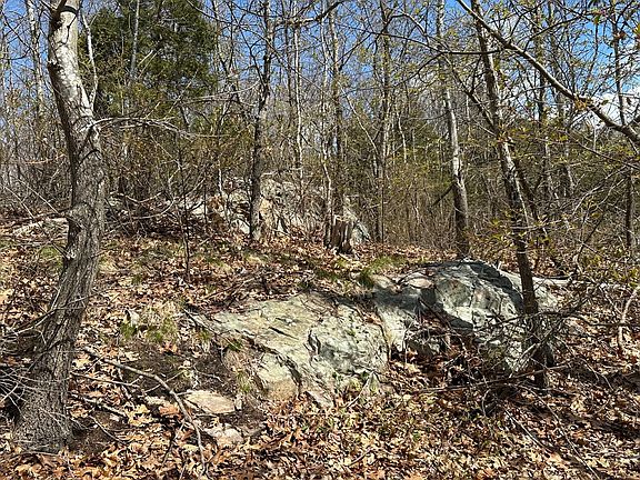 4th image of 27 Old Pine Island Rd