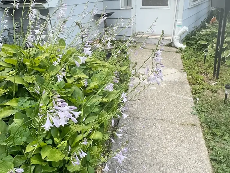 557 Emerson Dr — Photo 2